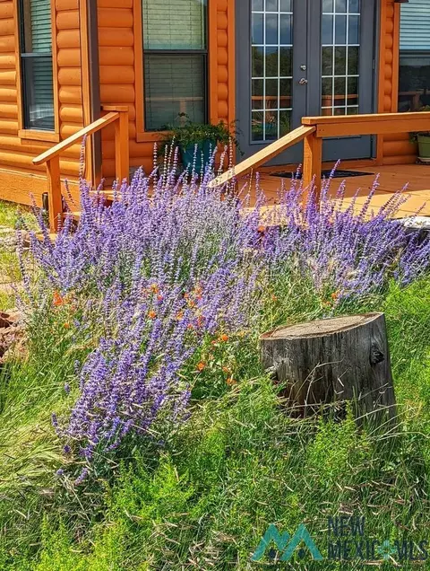 Other - 87 Deer Trail Rd, Datil, NM 87821 photo 15 of 28