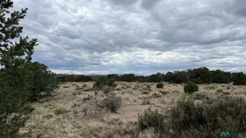 Other - 87 Deer Trail Rd, Datil, NM 87821 photo 28 of 28