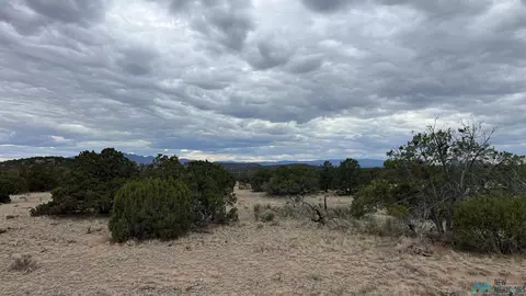 Other - 87 Deer Trail Rd, Datil, NM 87821 photo 24 of 28