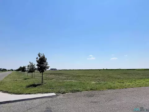 869 N Lakes Dr, Clovis, NM 88101 photo 7