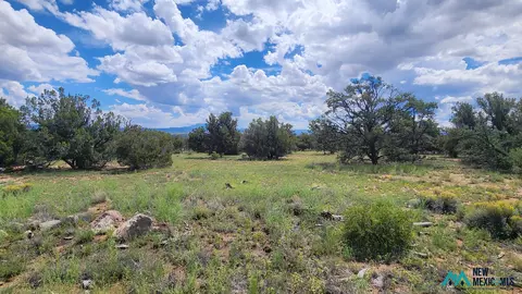 100 Squaw Pass, Quemado, NM 87829