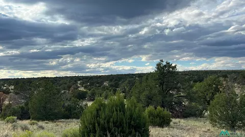 Warpath Rd, Quemado, NM 87829
