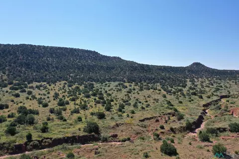 295 County Road C-56-b, Trementina, NM 88439