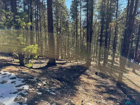 1 Lodge Spg, Cloudcroft, NM 88317 photo 8