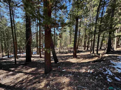 1 Lodge Spg, Cloudcroft, NM 88317 photo 6