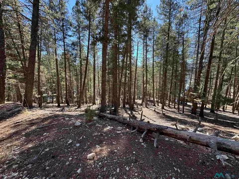 1 Lodge Spg, Cloudcroft, NM 88317 photo 10