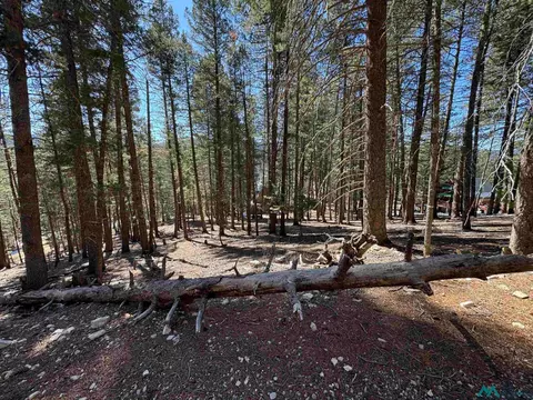 1 Lodge Spg, Cloudcroft, NM 88317 photo 7