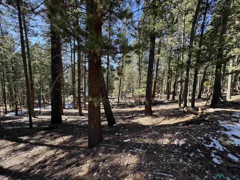 lot1 Lodge Spring Rd, Cloudcroft, NM 88317 photo 6