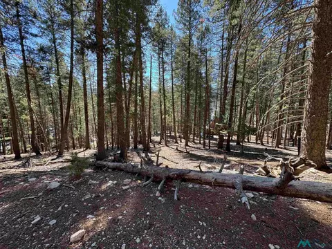 1 Lodge Spg, Cloudcroft, NM 88317 photo 9