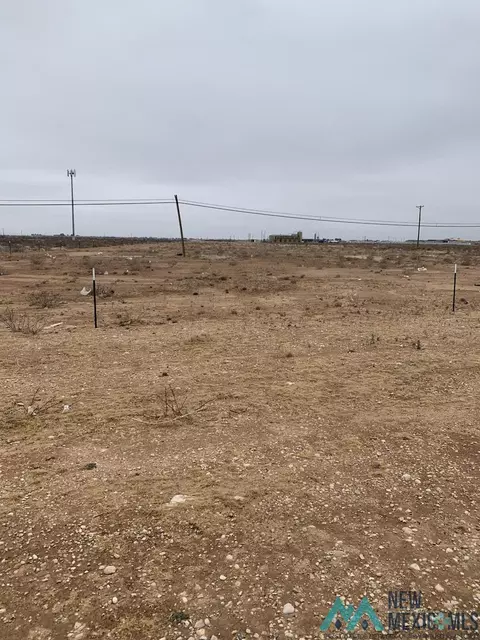 5310 National Parks Hwy, Carlsbad, NM 88220