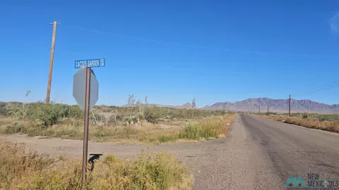 Cactus Garden, Deming, NM 88030