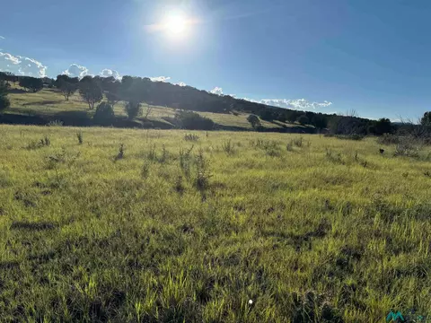 665 Us Highway 380, Capitan, NM 88316