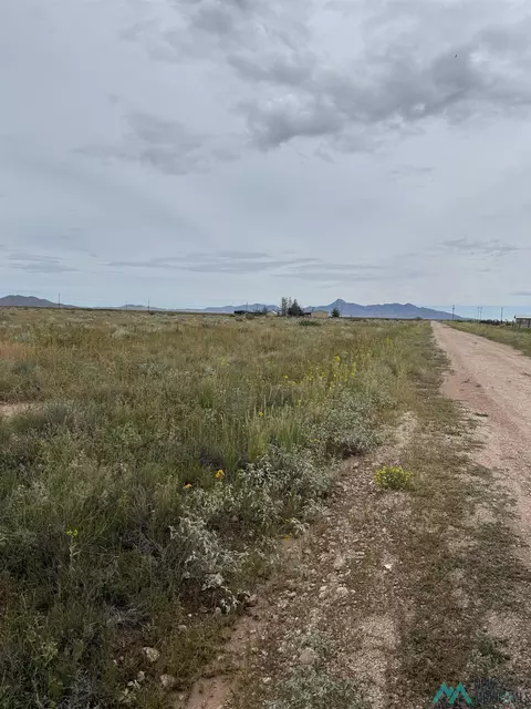 Nnnn Forsyth Road, Deming, NM 88030