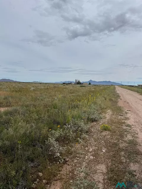 Forsyth, Deming, NM 88030