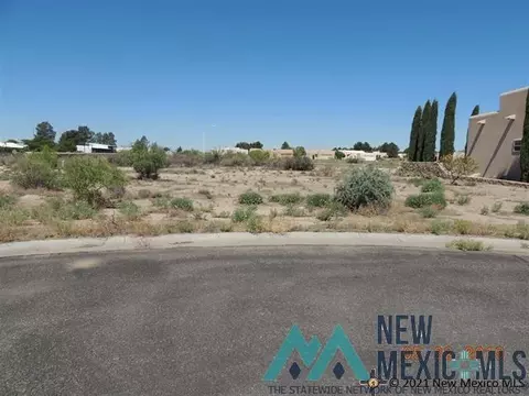 000 Slice Road Rd, Deming, NM 88030