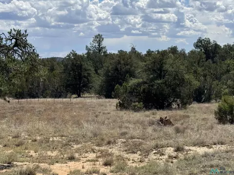 13 Davids Rock Rd, Candy Kitchen, NM 87357