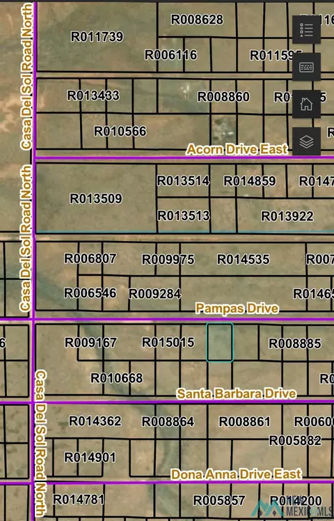 R006241 Pampas Drive, Moriarty, NM 87035