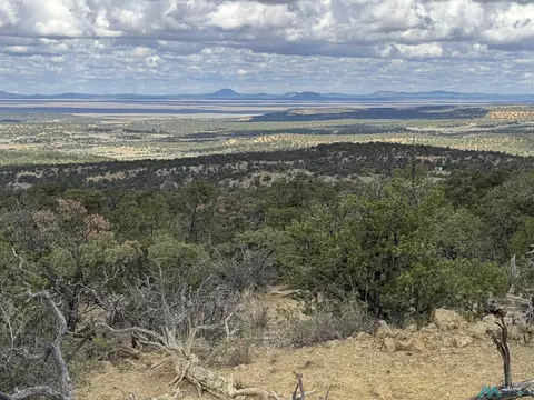 107 Silver Spur Ct Rd, Pie Town, NM 87827