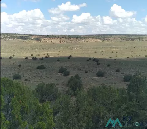1587 Nm Highway 36 Hwy, Fence Lake, NM 87315