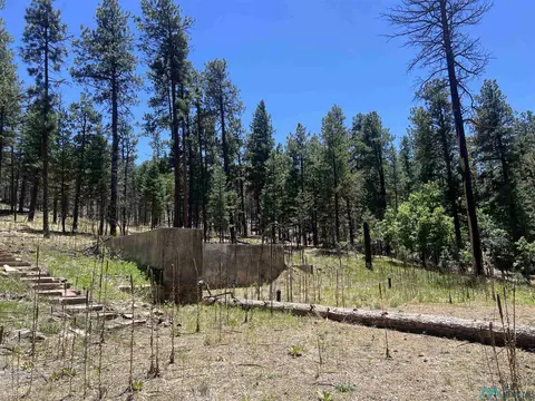 57 E Forest Dr, Rociada, NM 87742