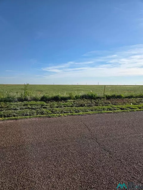 960 Cr 13, Clovis, NM 88101 photo 2