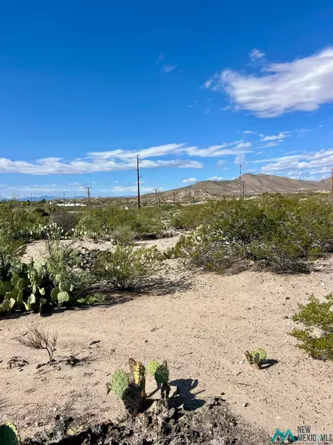 Pershing St, Truth Or Consequences, NM 87901 photo 10