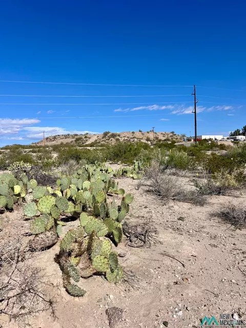 Pershing St, Truth Or Consequences, NM 87901 photo 2