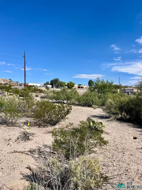 Pershing St, Truth Or Consequences, NM 87901 photo 6