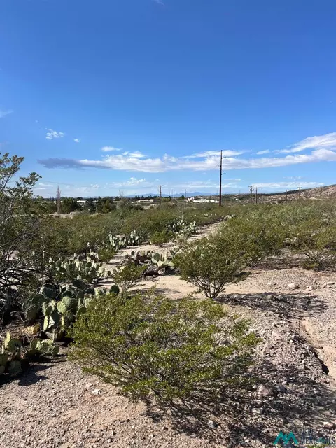 Pershing St, Truth Or Consequences, NM 87901 photo 9