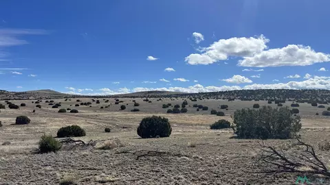 tbd Deer Circle Rd, Quemado, NM 87829