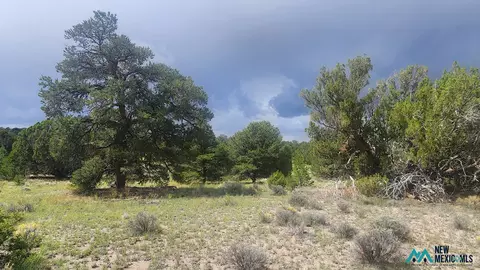 Pinewood Circle, Pie Town, NM 87827