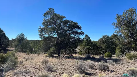 Pinewood Circle, Pie Town, NM 87827