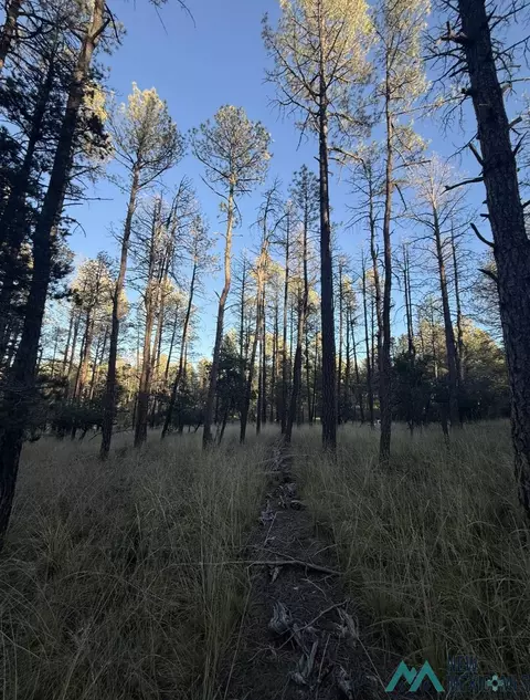 lot6 Pine Rd, Timberon, NM 88350