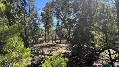 tbd Paradise Loop Rd, Quemado, NM 87829