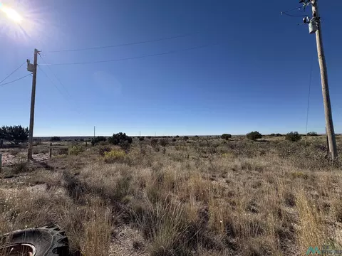 lot9 Quail Ln, Lake Sumner, NM 88119