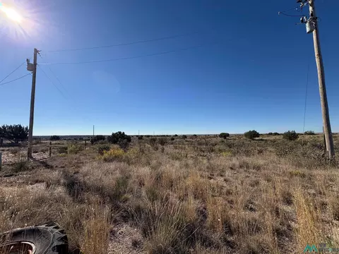 9 Quail, Lake Sumner, NM 88119