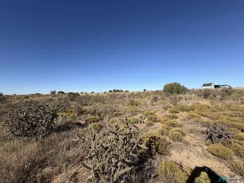 lot10 Quail Ln, Lake Sumner, NM 88119