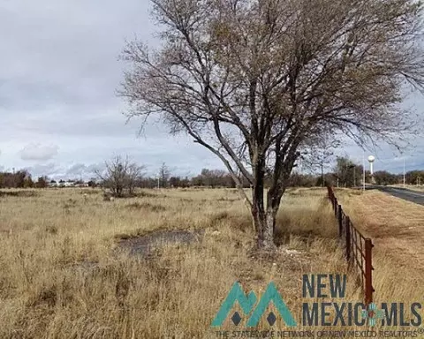 South Clayton Ext Tract 5, Clayton, NM 88415