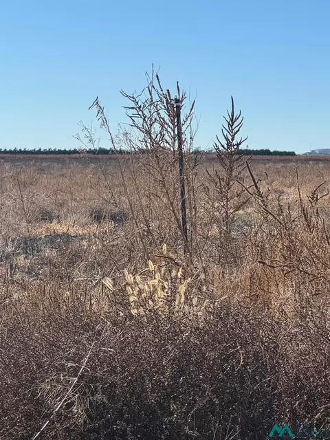 3600 Bandolier, Clovis, NM 88101 photo 4