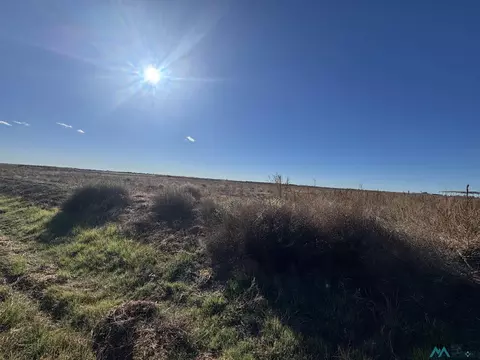 3600 Bandolier Rd, Clovis, NM 88101