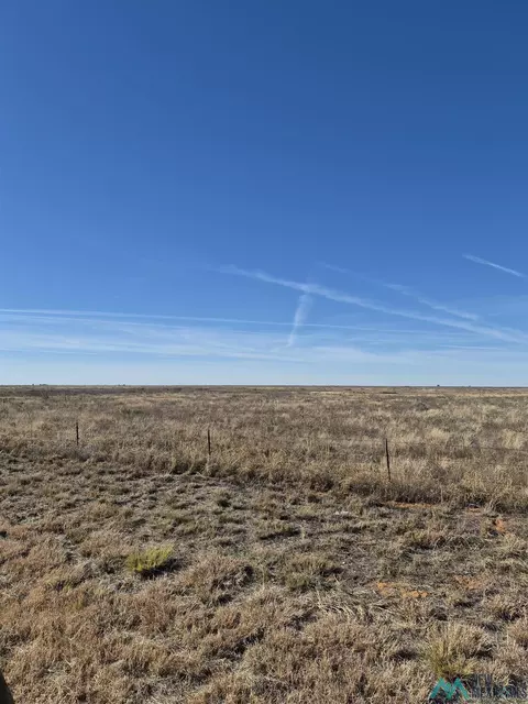 000 206 Hwy, Pep, NM 88126