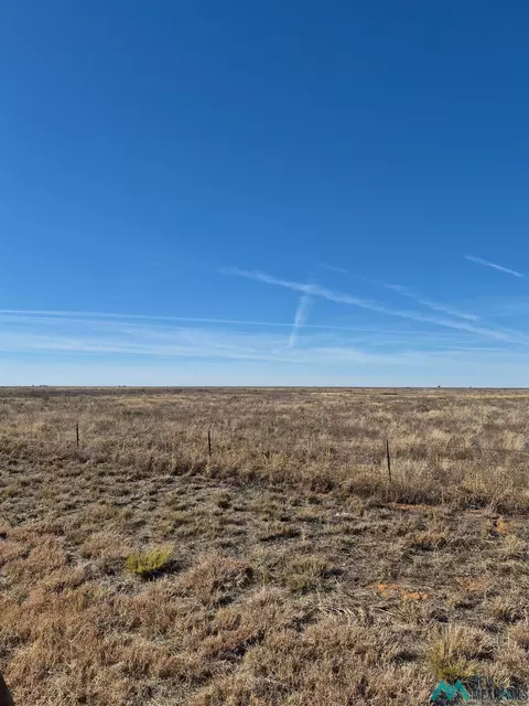 20 6, Pep, NM 88126