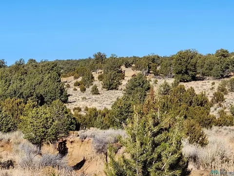 tbd Ponderosa Ranches Trail Rd, Pie Town, NM 87827