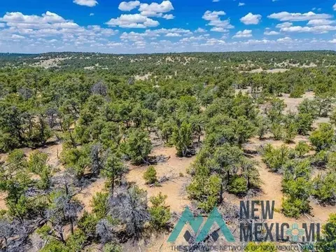 9 Jackrabbit, Pinehill, NM 87357 photo 9