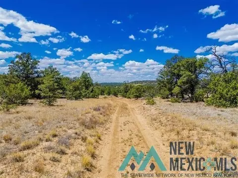 9 Jackrabbit, Pinehill, NM 87357 photo 12