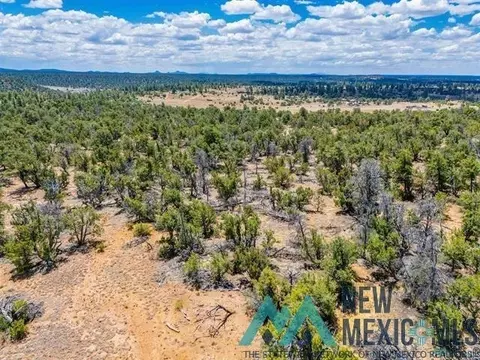 9 Jackrabbit, Pinehill, NM 87357 photo 8