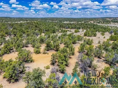 9 Jackrabbit, Pinehill, NM 87357 photo 7