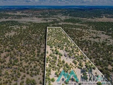 9 Jackrabbit, Pinehill, NM 87357 photo 5