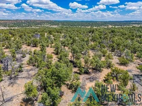 9 Jackrabbit, Pinehill, NM 87357 photo 10