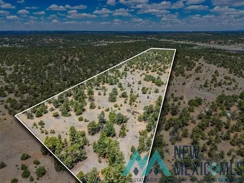 9 Jackrabbit, Pinehill, NM 87357 photo 3